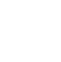 Logo Ansoine